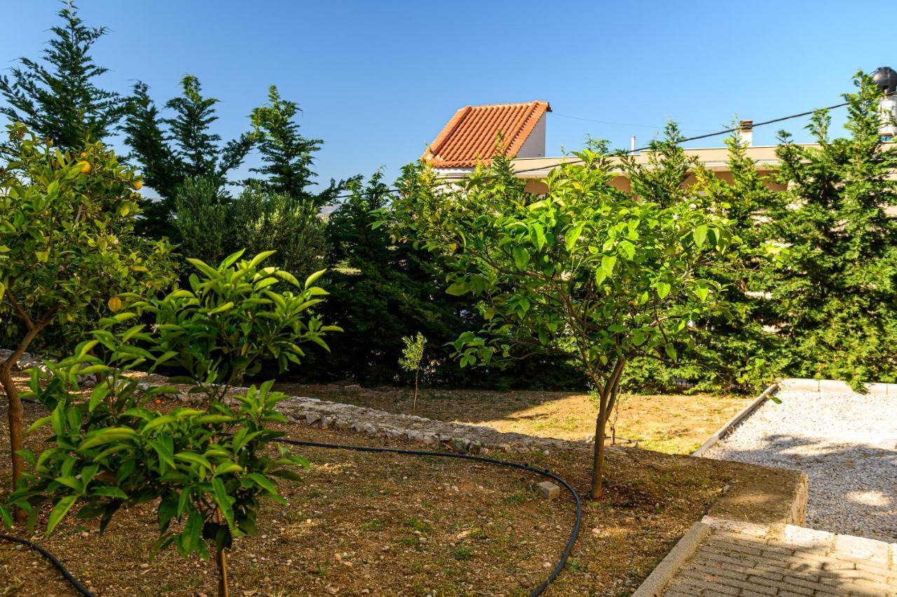 Minimal Studio In Nature, Exostis 나플리오 외부 사진